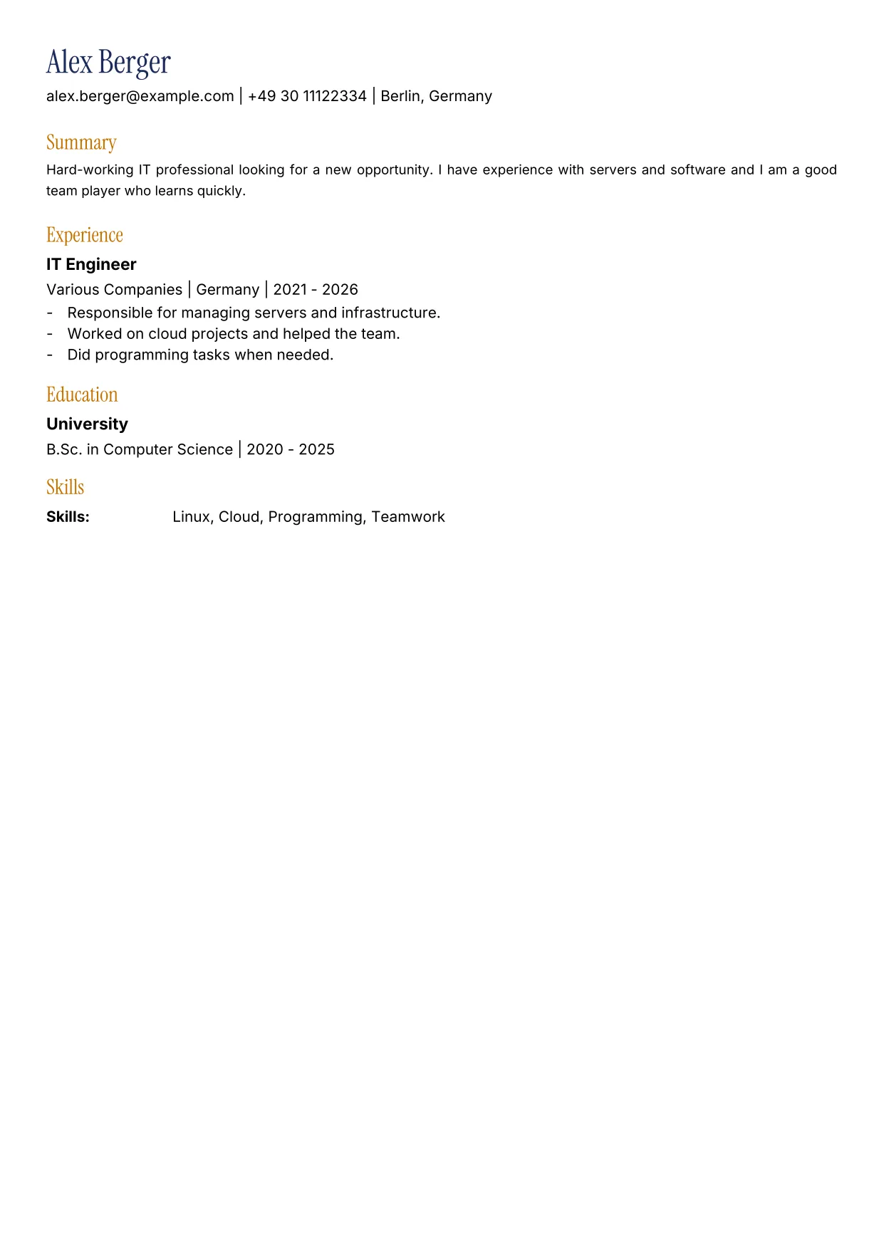 A generic, untailored CV rendered to PDF — sparse and vague.